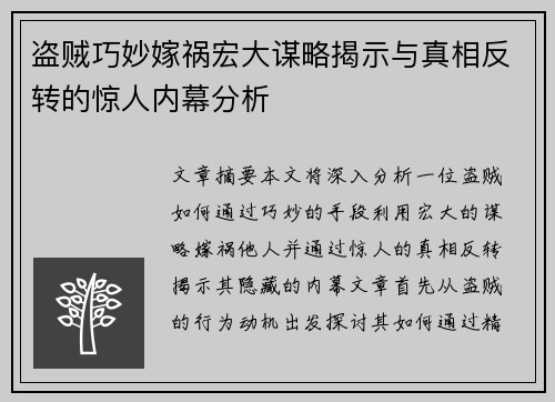盗贼巧妙嫁祸宏大谋略揭示与真相反转的惊人内幕分析